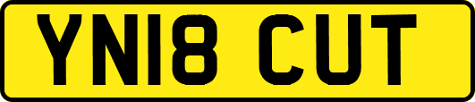 YN18CUT
