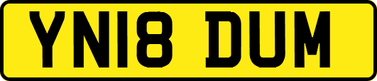 YN18DUM