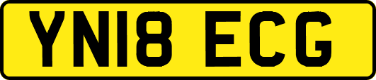 YN18ECG
