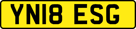 YN18ESG