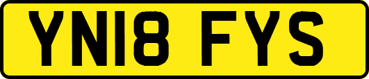 YN18FYS