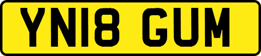 YN18GUM