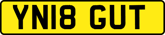 YN18GUT