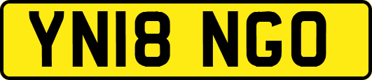 YN18NGO