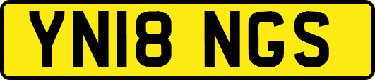 YN18NGS