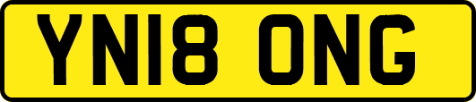 YN18ONG
