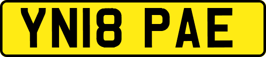 YN18PAE
