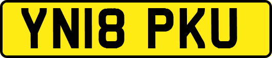 YN18PKU