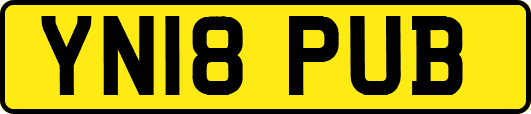 YN18PUB