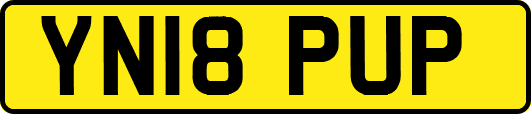 YN18PUP