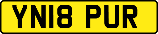 YN18PUR