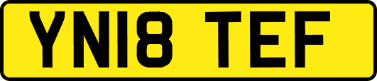 YN18TEF