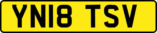 YN18TSV