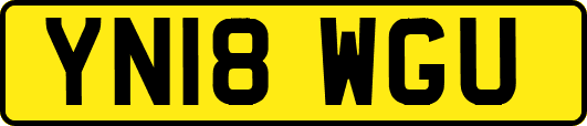 YN18WGU