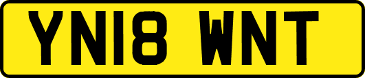 YN18WNT