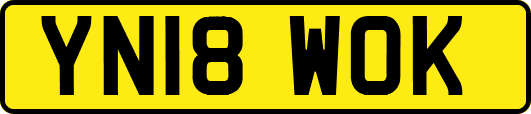 YN18WOK