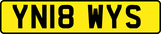 YN18WYS