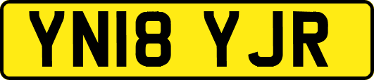 YN18YJR
