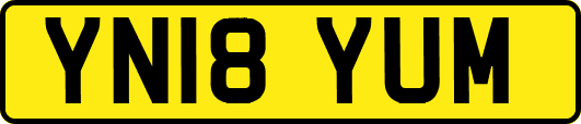YN18YUM