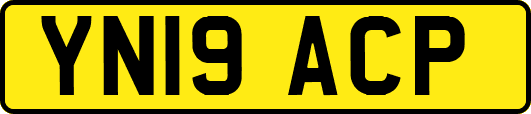 YN19ACP
