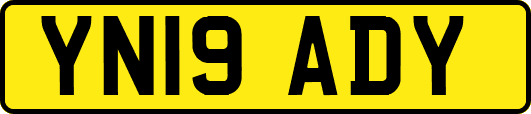 YN19ADY