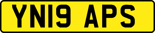 YN19APS