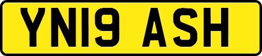 YN19ASH