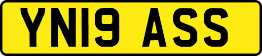 YN19ASS