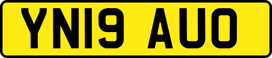 YN19AUO