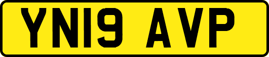 YN19AVP