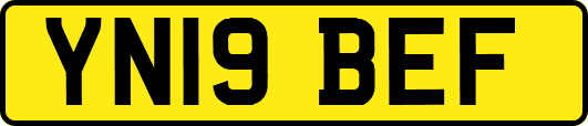 YN19BEF
