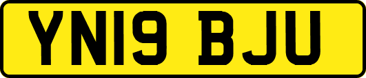 YN19BJU
