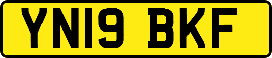 YN19BKF