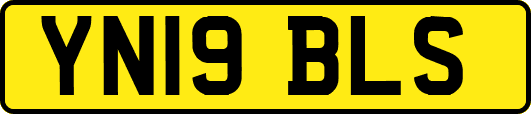 YN19BLS