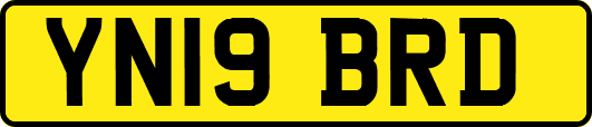 YN19BRD