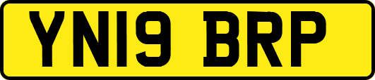 YN19BRP