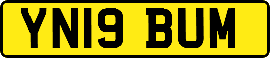 YN19BUM