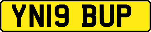 YN19BUP