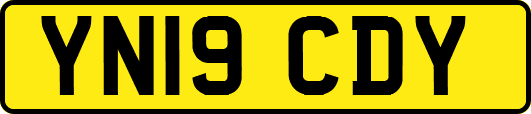 YN19CDY