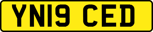 YN19CED