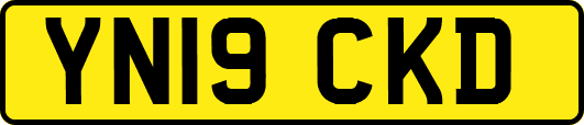 YN19CKD