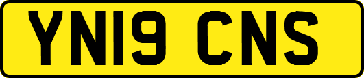 YN19CNS