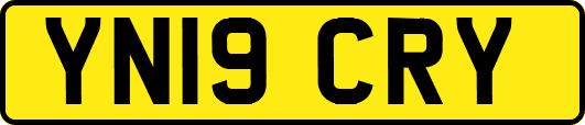YN19CRY
