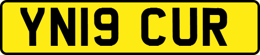 YN19CUR