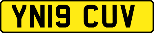 YN19CUV