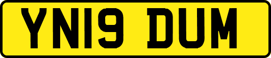 YN19DUM