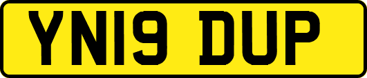 YN19DUP