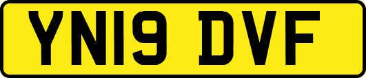 YN19DVF