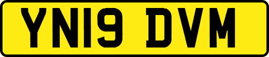 YN19DVM