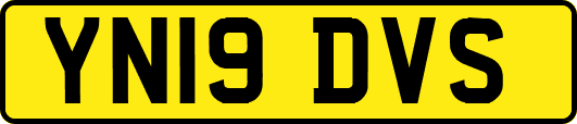 YN19DVS